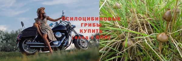 винт Баксан