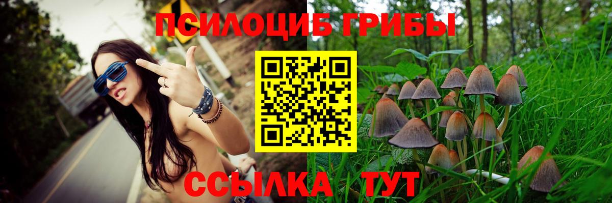 Псилоцибиновые грибы прущие грибы  продажа наркотиков  Ессентуки  Вход с VPN 