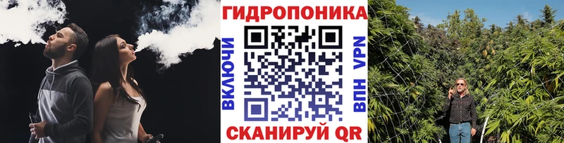 Каннабис Amnesia  Ессентуки 